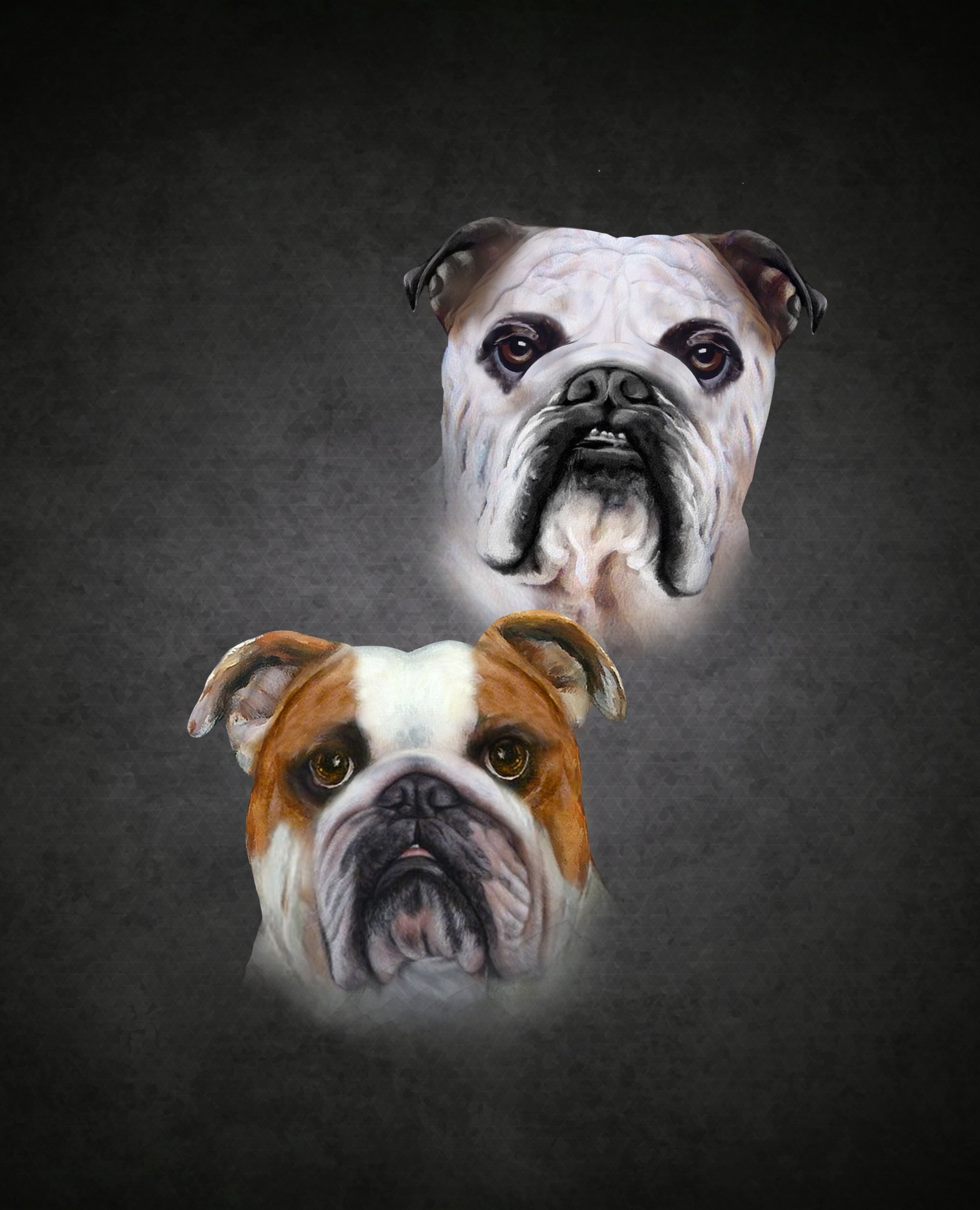 Illustration artwork 39