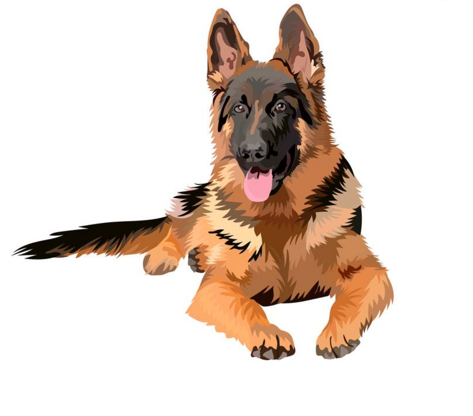 Illustration artwork 8