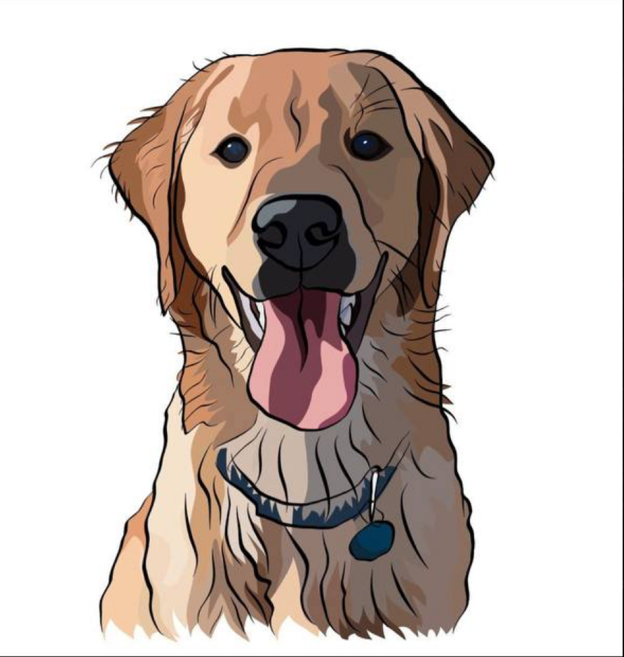 Illustration artwork 6