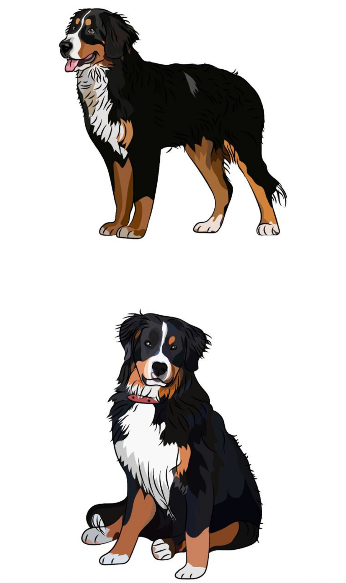 Illustration artwork 29