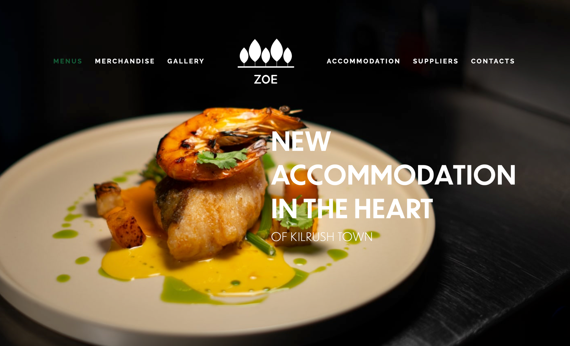 Zoe UI/UX case study visual